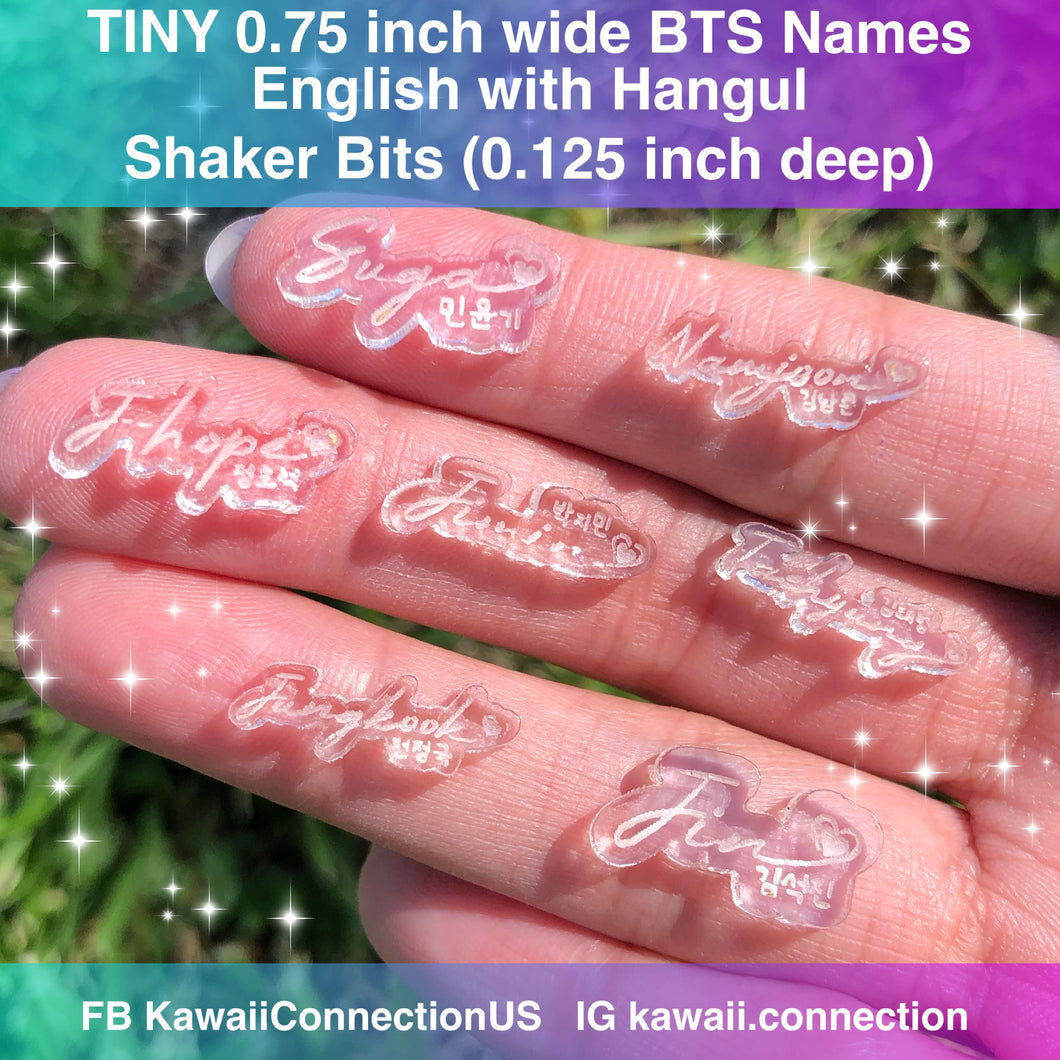TINY 0.75 inch wide (0.125 inch deep) *FULL set of 7* BTS English Names w/ Hangul K-Pop Shaker Bits Silicone Mold Palette for Resin